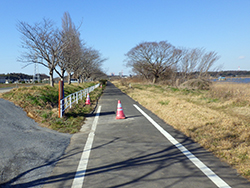 施工事例：佐倉市 遊歩道_01